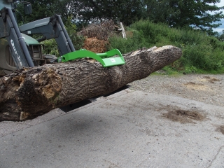 Log Grabs 4