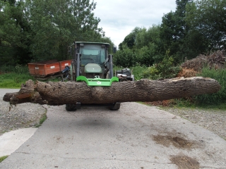 Log Grabs 2