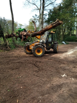 Log Grabs 12